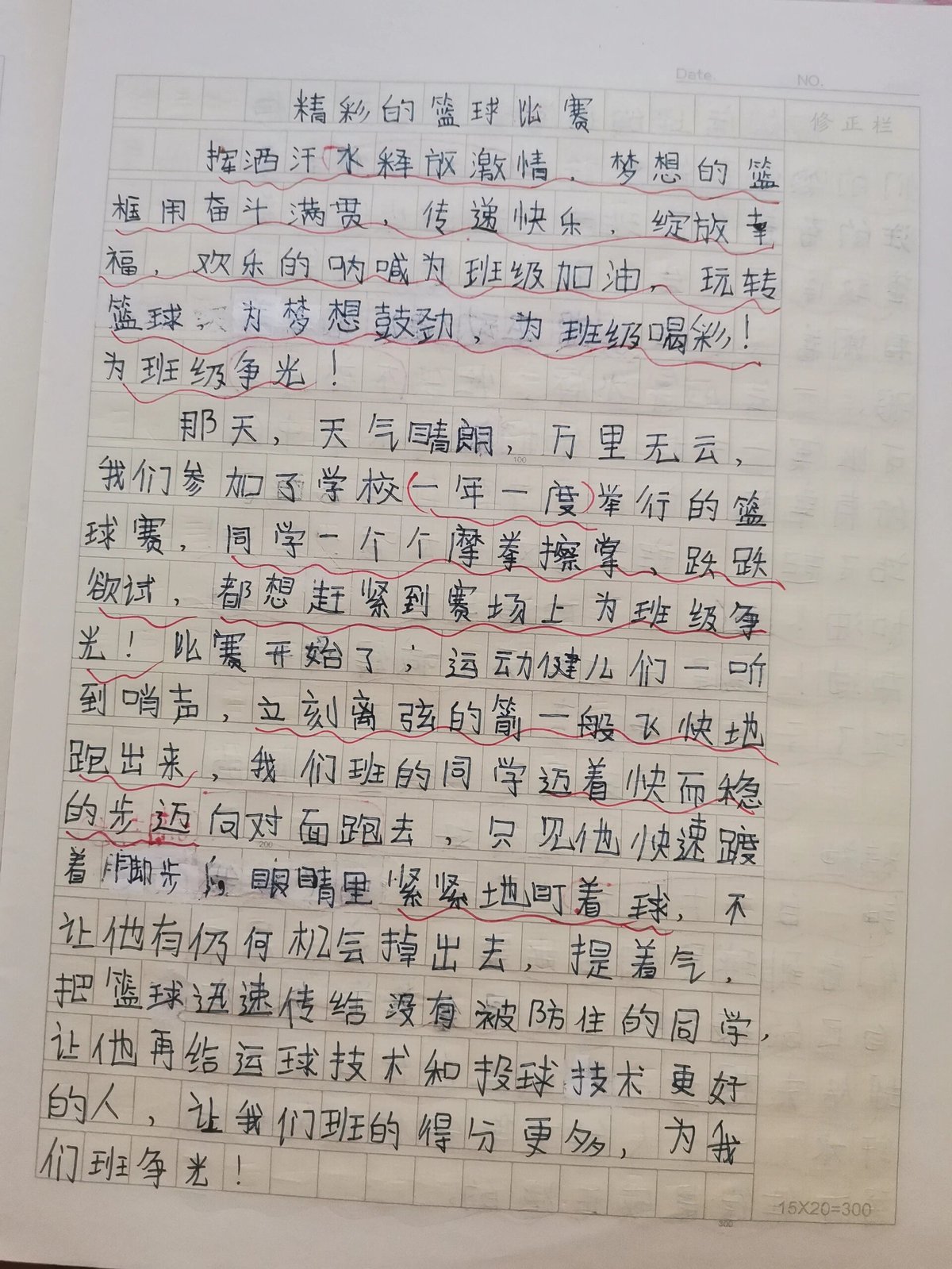 篮球训练法读后感500字